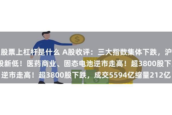 股票上杠杆是什么 A股收评：三大指数集体下跌，沪指收报2784点续创阶段新低！医药商业、固态电池逆市走高！超3800股下跌，成交5594亿缩量212亿
