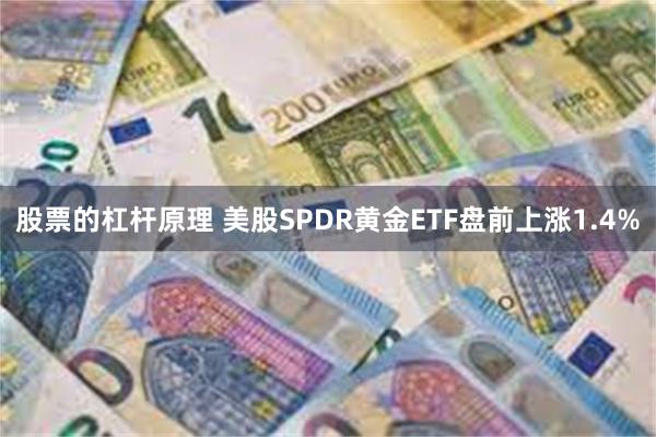 股票的杠杆原理 美股SPDR黄金ETF盘前上涨1.4%