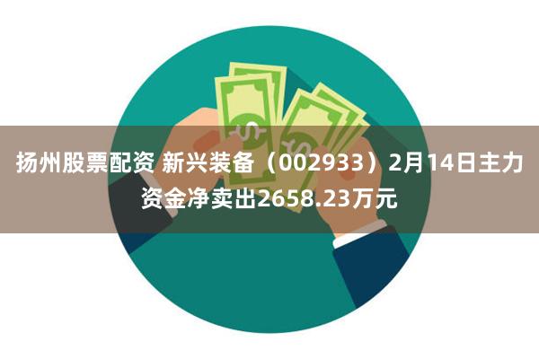 扬州股票配资 新兴装备（002933）2月14日主力资金净卖出2658.23万元
