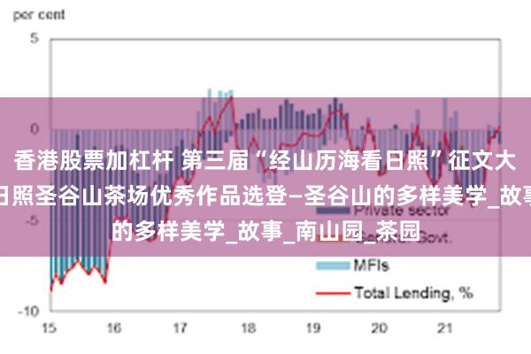 香港股票加杠杆 第三届“经山历海看日照”征文大赛采风行探幽日照圣谷山茶场优秀作品选登—圣谷山的多样美学_故事_南山园_茶园