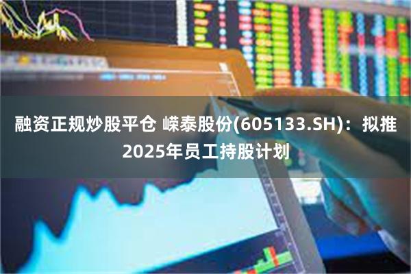 融资正规炒股平仓 嵘泰股份(605133.SH)：拟推2025年员工持股计划