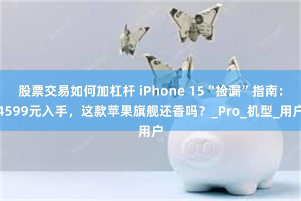 股票交易如何加杠杆 iPhone 15“捡漏”指南：4599元入手，这款苹果旗舰还香吗？_Pro_机型_用户