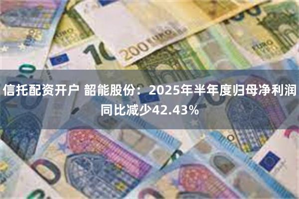 信托配资开户 韶能股份：2025年半年度归母净利润同比减少42.43%