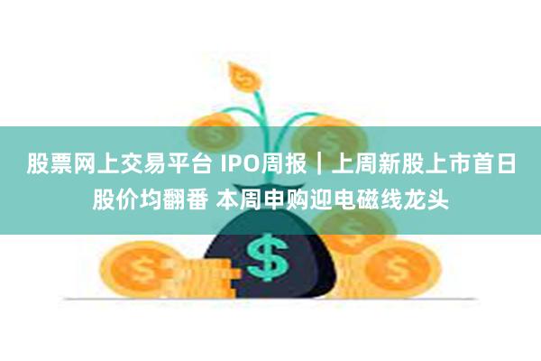 股票网上交易平台 IPO周报｜上周新股上市首日股价均翻番 本周申购迎电磁线龙头