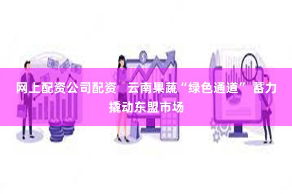 网上配资公司配资   云南果蔬“绿色通道” 蓄力撬动东盟市场