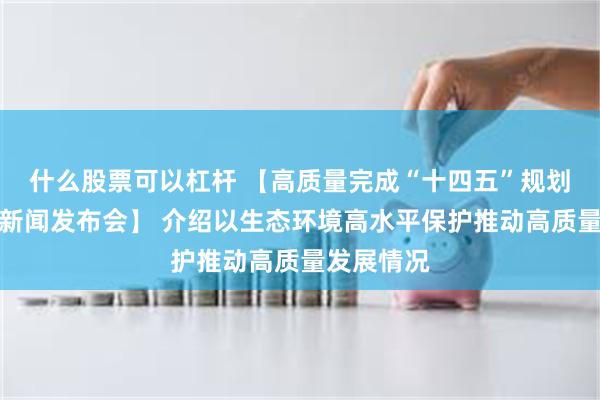 什么股票可以杠杆 【高质量完成“十四五”规划系列主题新闻发布会】 介绍以生态环境高水平保护推动高质量发展情况