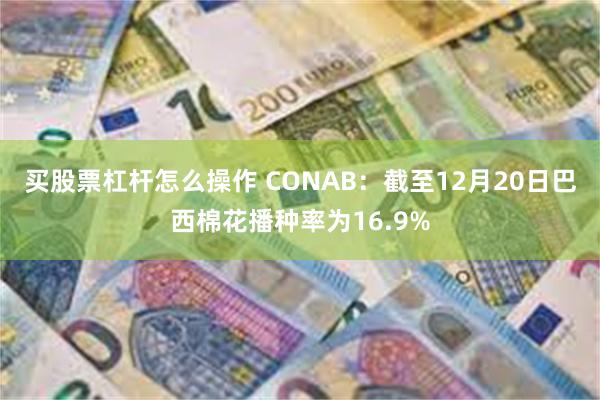 买股票杠杆怎么操作 CONAB：截至12月20日巴西棉花播种率为16.9%